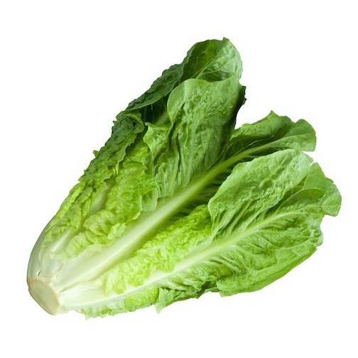 Hạt Giống Xà Lách Romaine Chịu Nhiệt 2 Gram