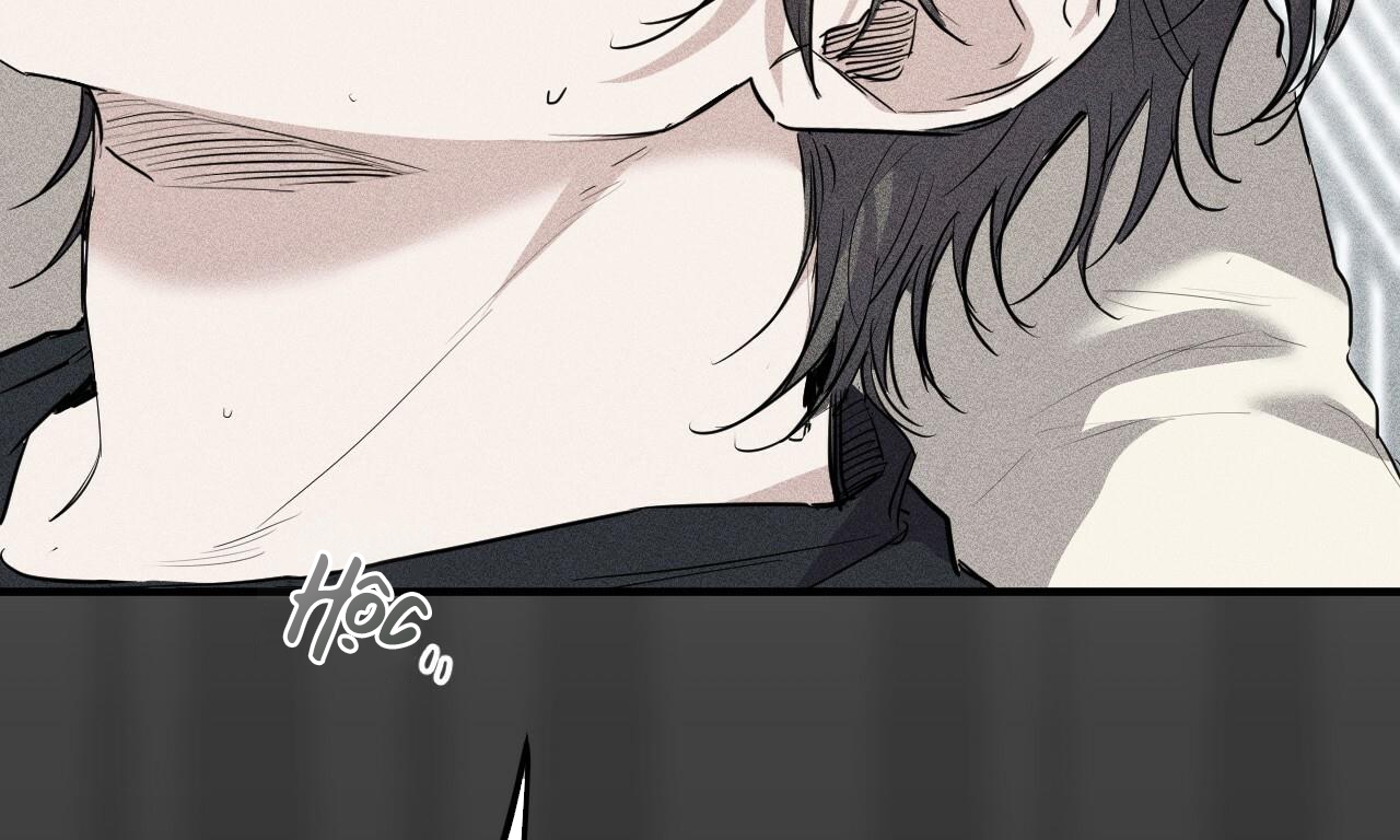 đàn thỏ của habibi chapter 37 8