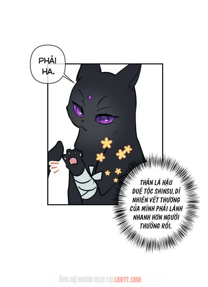 tôi đang nuôi dưỡng một con quái thú chapter 4 33