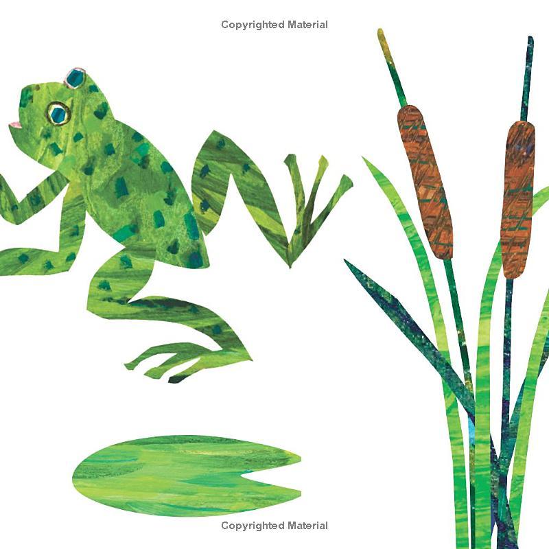 Sách ngoại văn: You're My Busy Little Spider