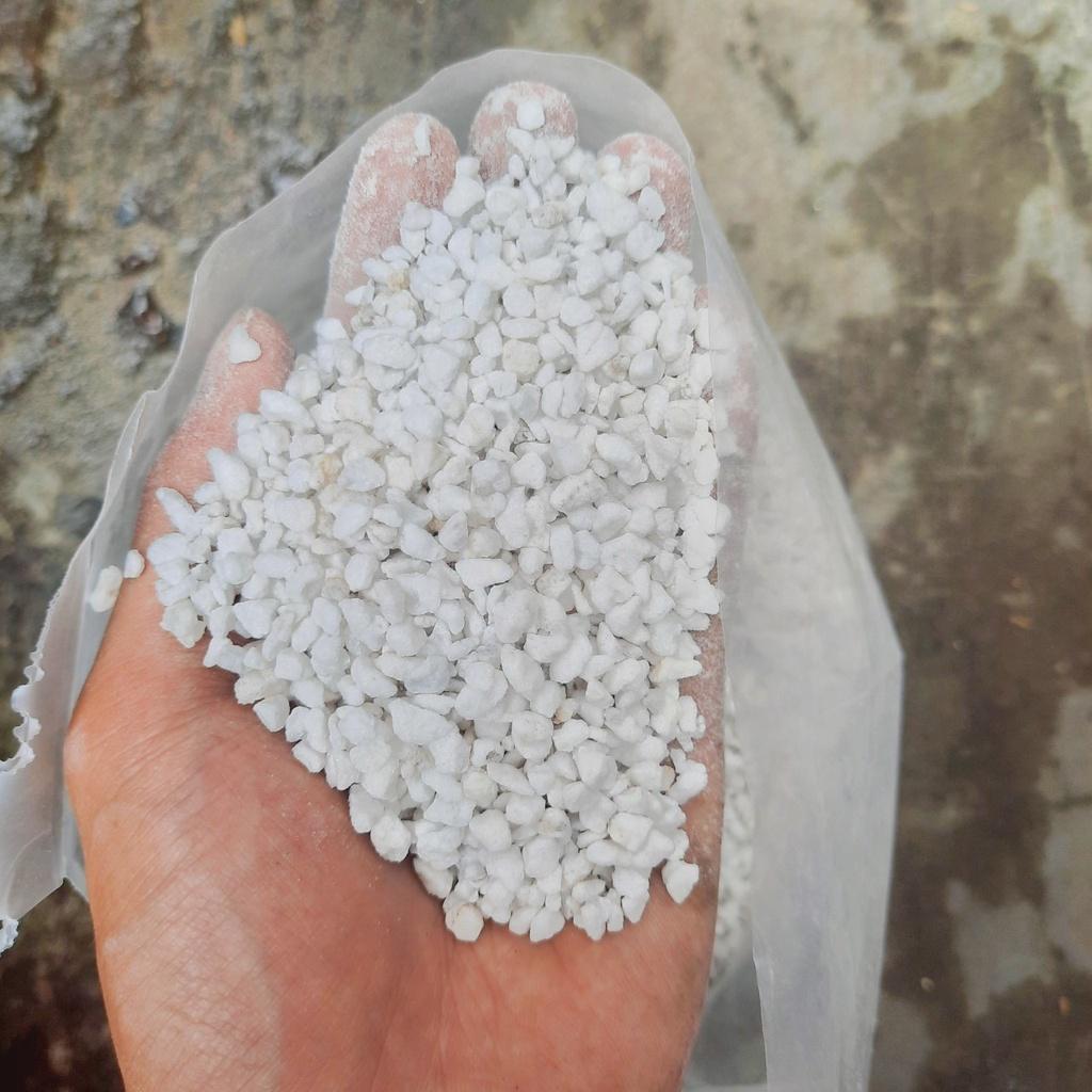 Đá Perlite giá thể trồng cây giúp thoát nước cực tốt