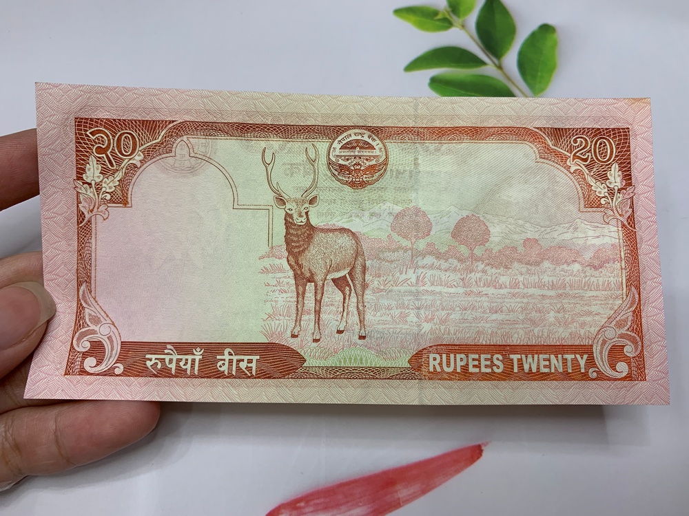 Tiền 20 Rupees Nepal hình núi Himalaya - tặng phơi nylon bảo quản tiền