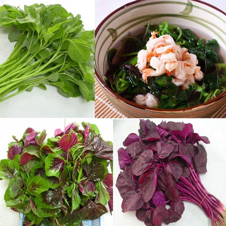 Combo 3 Gói Hạt Giống Rau Dền 3 Màu - 3 Gói 50gr