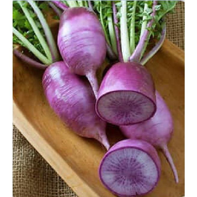 Hạt giống củ cải tròn tím-gói 2 gram/tặng kèm gói phân bón lót