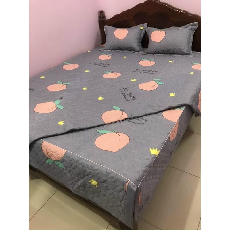 Bộ chăn ga gối trần bông ga phủ mẫu 4