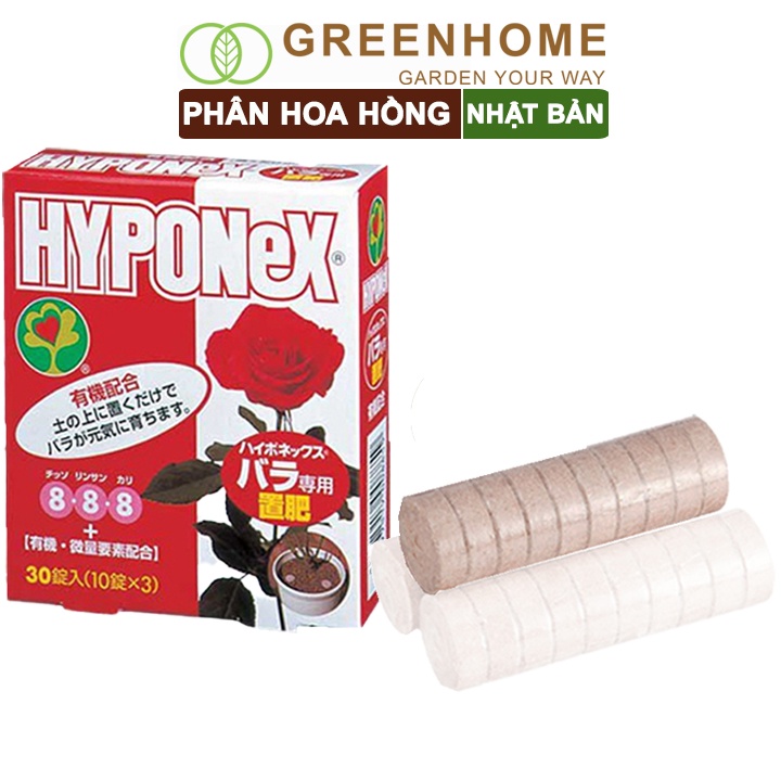 Phân bón hoa hồng Nhật, Hyponex 8.8.8, giúp thân to khoẻ, nhiều chồi, hoa to, lâu tàn |Greenhome