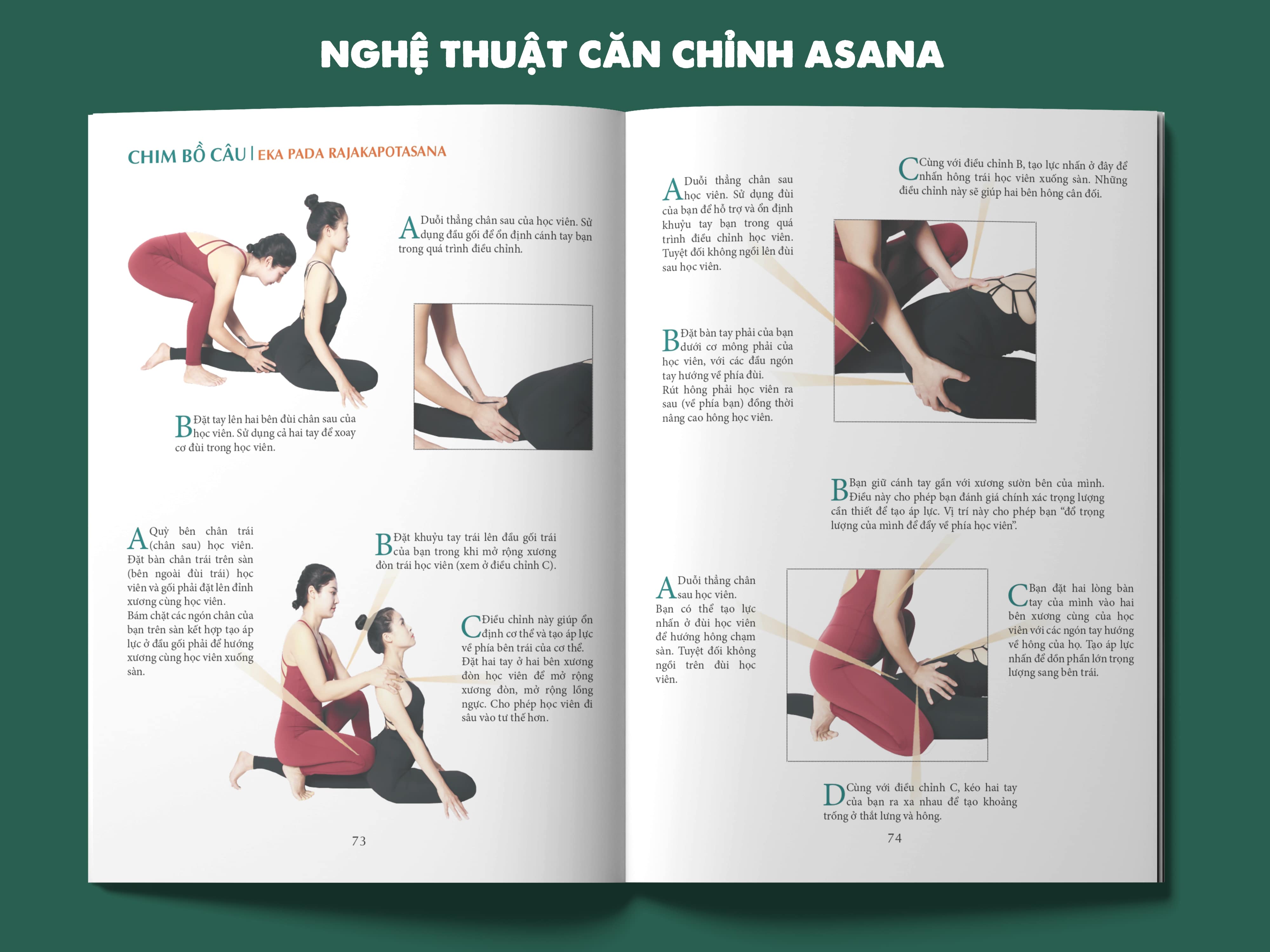 Nghệ thuật căn chỉnh tư thế Yoga