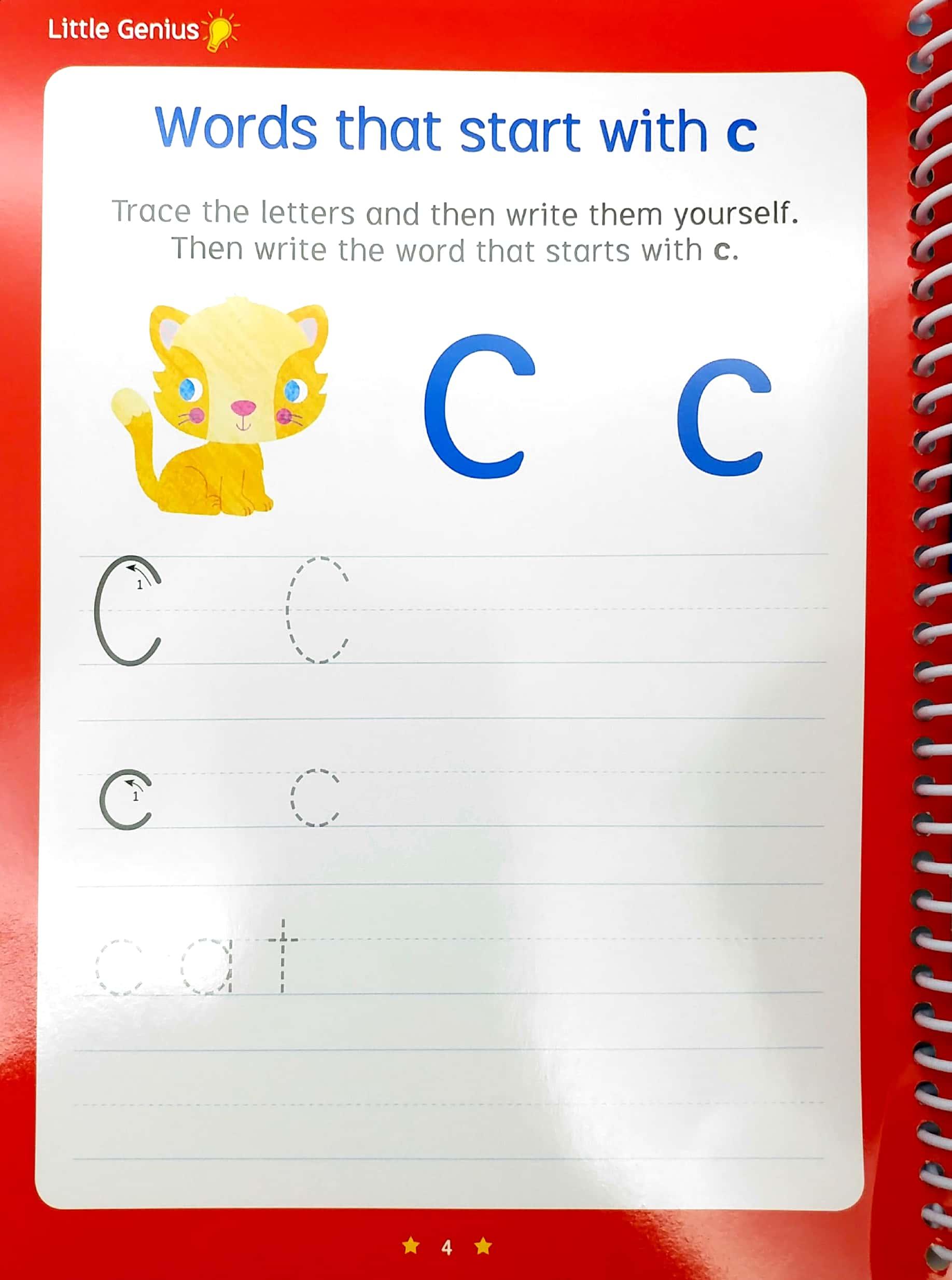 Little Genius Write And Wipe Bind Up - First Words