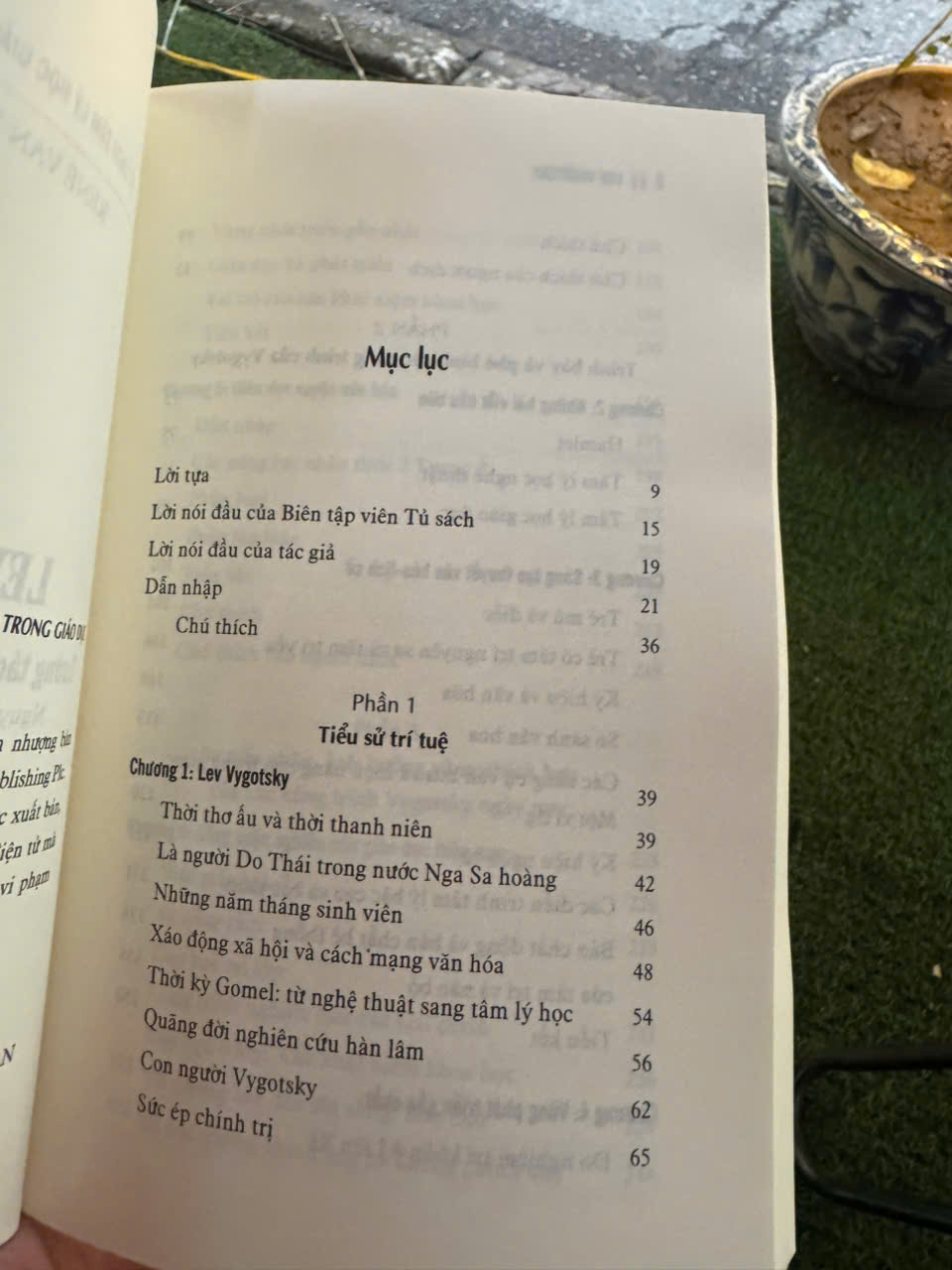 LEV VYGOTSKY TƯƠNG TÁC XÃ HỘI-VĂN HÓA TRONG GIÁO DỤC – René van der Veer – Nguyễn Viết Dũng &amp; Hoàng Hưng dịch - NXB Tri Thức