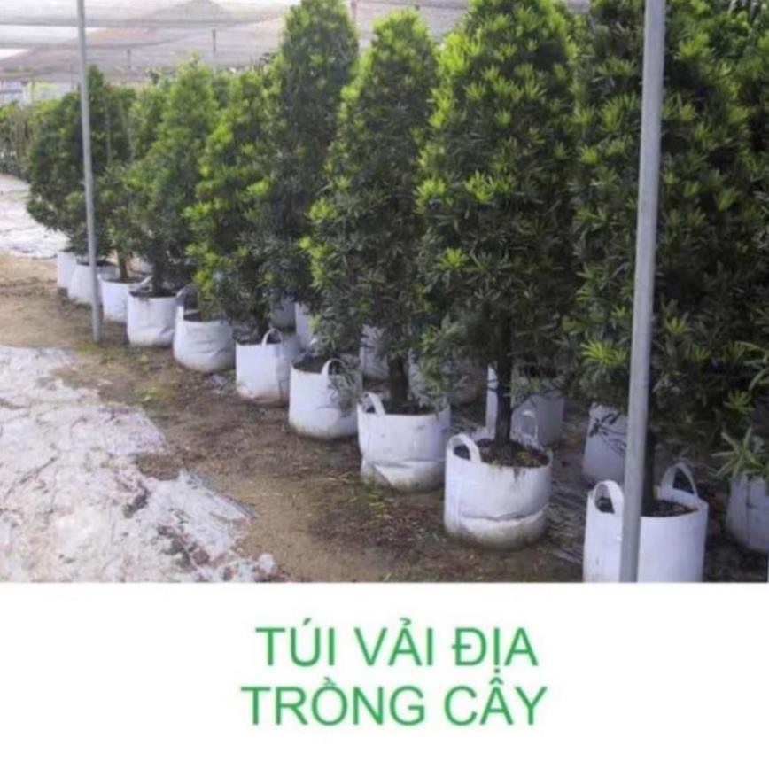 SET 100 Túi vải địa không dệt CỠ NHỎ để ươm trồng cây