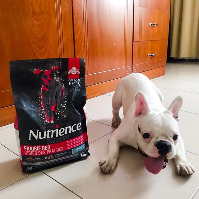 Thức Ăn Hạt Cho Chó Bull Pháp Nutrience Subzero Bao 500g - 6 Loại Thịt Cá, Rau Củ Quả, Trái Cây Tự Nhiên