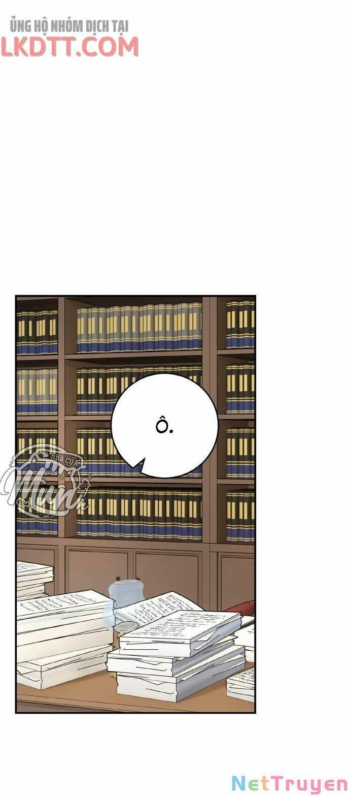 nhật ký tuần trăng mật của phù thủy và rồng chapter 47 60