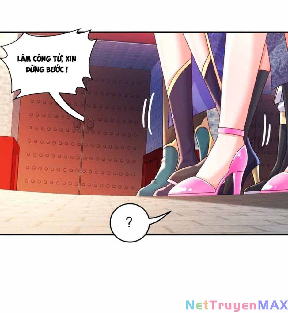 tuyệt thế đạo lữ chapter 65 49