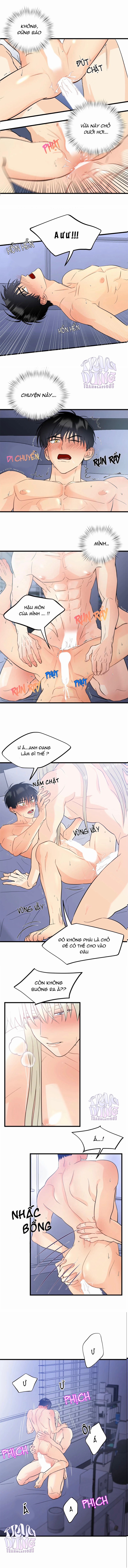 ghép đôi cổ tích chapter 1 8