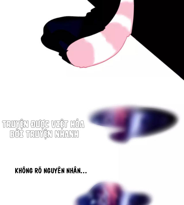 xã hội mèo chapter 1 3