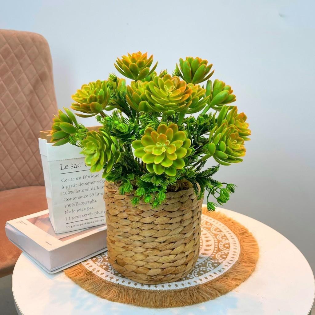 Chậu cây trang trí để bàn kèm giỏ y hình các loại - Cao 35cm đến 48cm - Cây giả, hoa lụa Decor trang trí nhà cửa