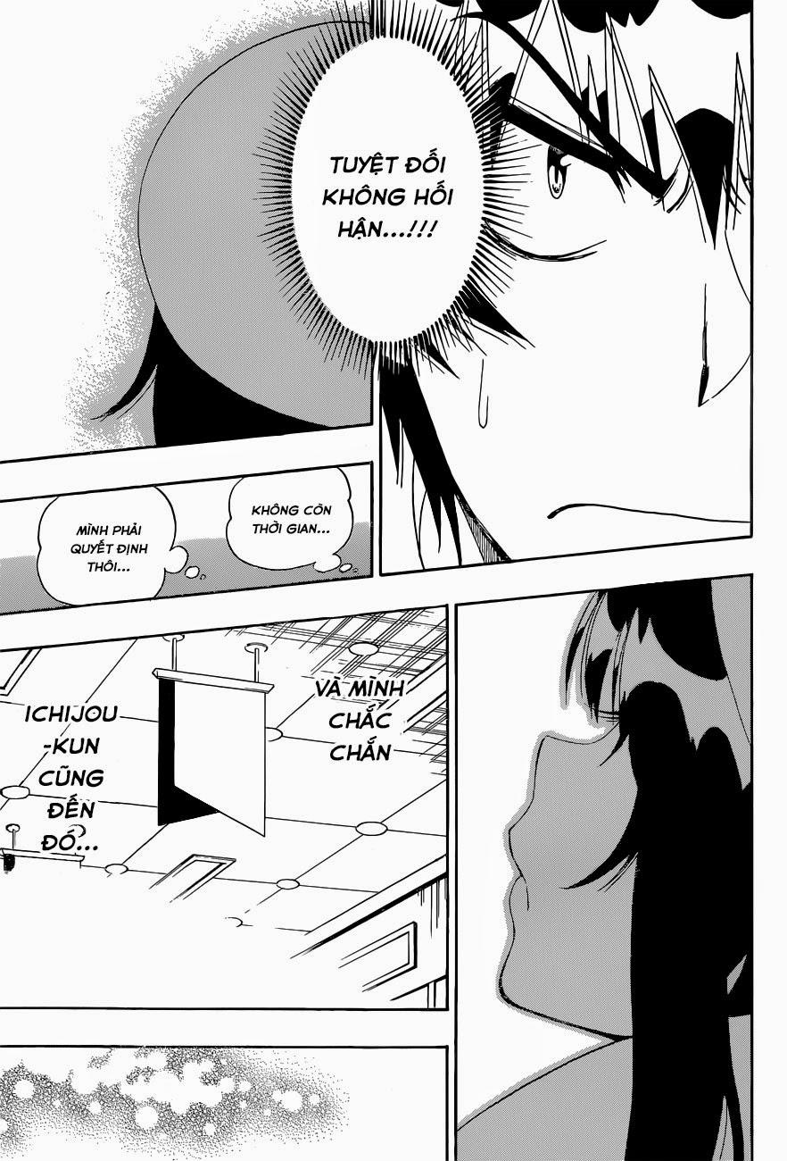 nisekoi - tình yêu giả tạo chapter 167 17