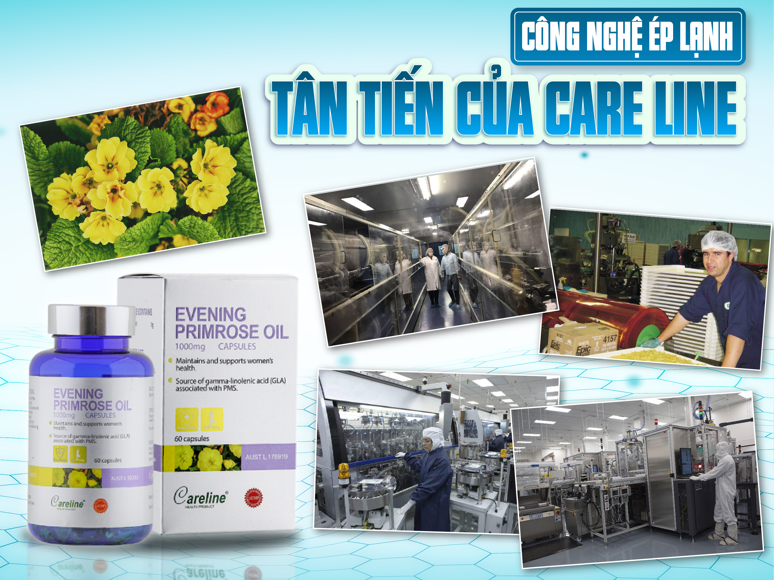 Viên Uống Tinh Dầu Hoa Anh Thảo Careline Evening Primrose Oil 1000Mg Tăng Cường Sức Khoẻ Nội Tiết Và Làn Da