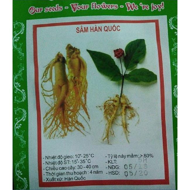 Hạt giống cây nhân sâm hàn quốc-gói 5 hạt/tặng kèm gói phân bón