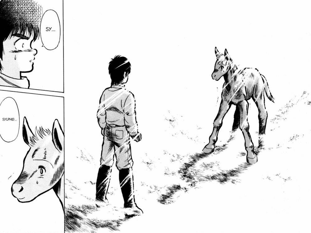 kaze no sylphid - phong mã silphid chapter 4 19