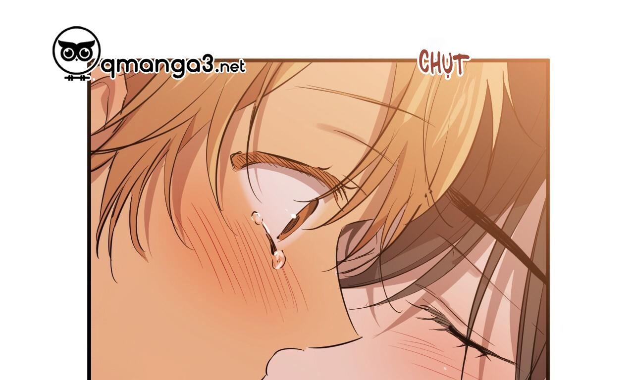 những chú thỏ của hapypy chapter 51 90