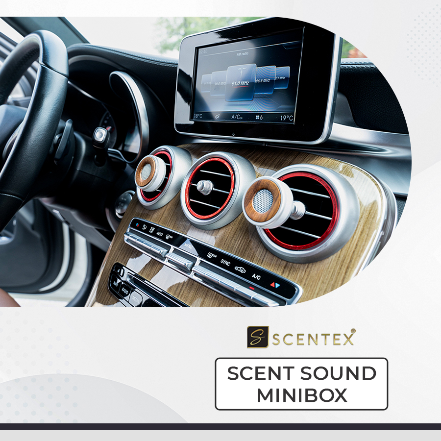 Nước hoa xe hơi cao cấp Scentex SCENT SOUND MINI BOX 100% Organic, được làm từ hợp kim kim ALUMINUM cắt CNC công nghệ cao kết hợp với Gỗ Hoàng Đàn có mùi thơm nức tự nhiên, bên trong ruột bông có thể thấm hút tinh dầu, gắn cửa gió điều hòa khuếch tán mùi hương, khử mùi, diệt khuẩn hiệt quả - Hàng Chính Hãng