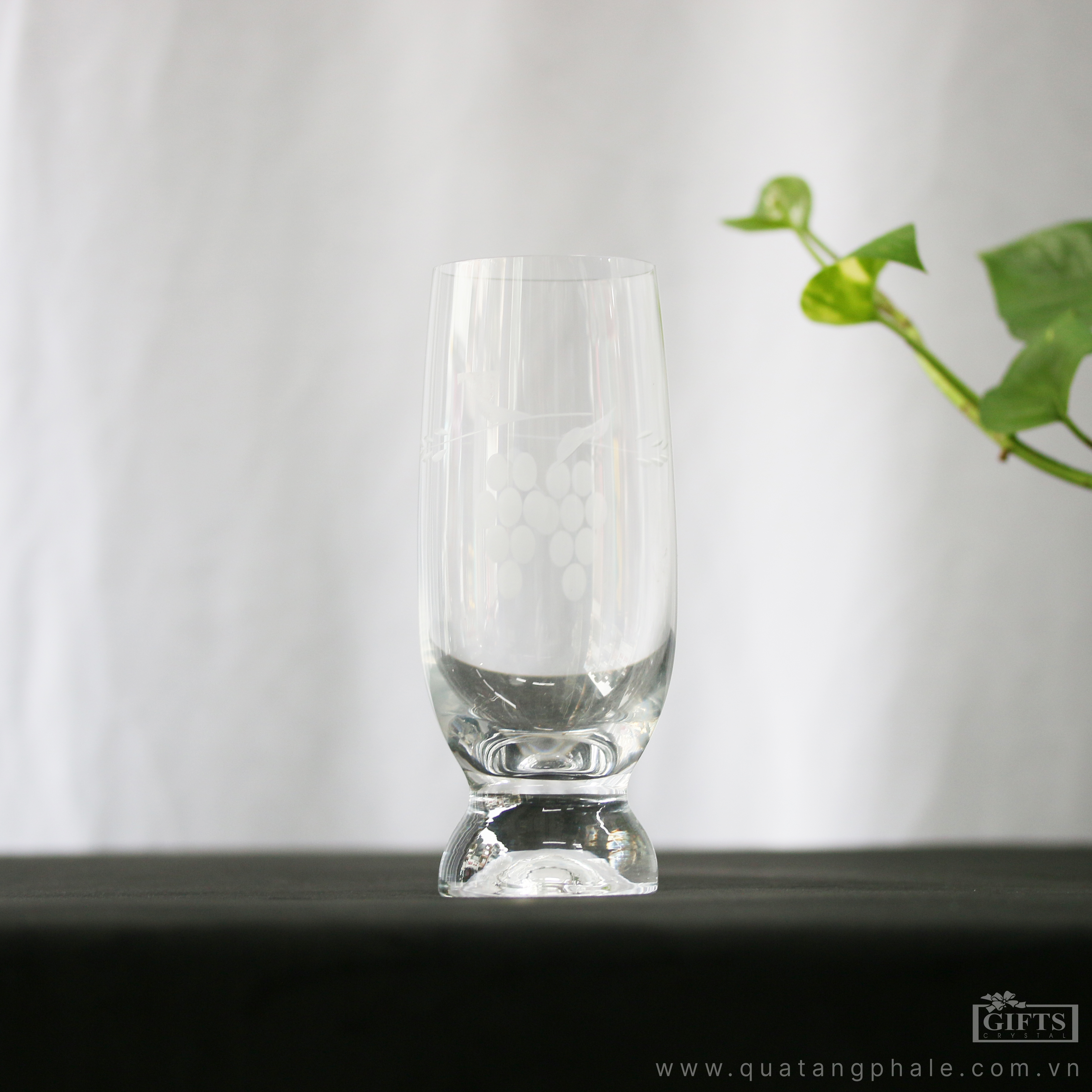 Bộ ly Uống nước Gina Bohemia Tiệp khắc 210ml