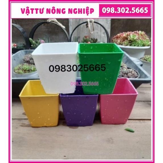 Chậu nhựa vuông trồng cây đủ màu kích thước 12x12cm