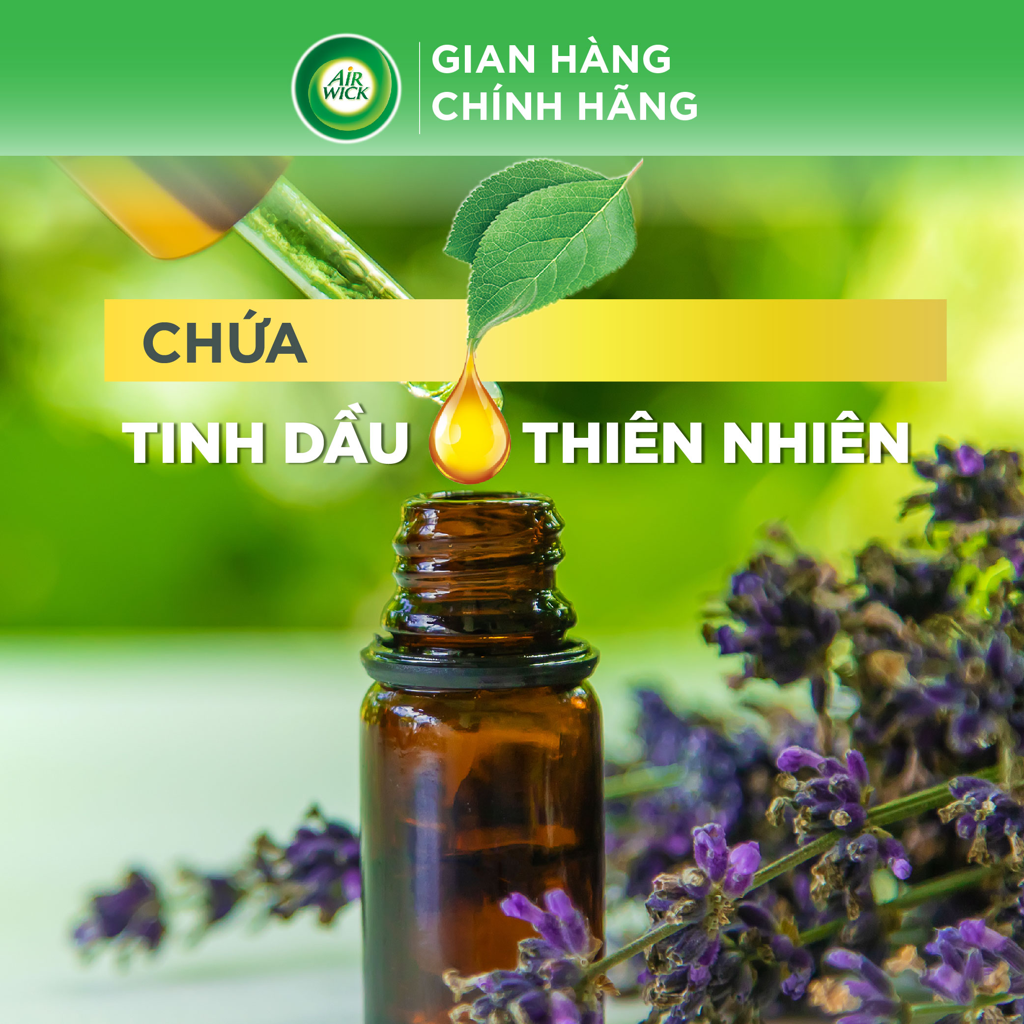 Lõi máy xịt thơm phòng tự động hương Lavender AIRWICK, hương thơm dịu nhẹ, thư giãn, giúp giảm căng thẳng 250ml