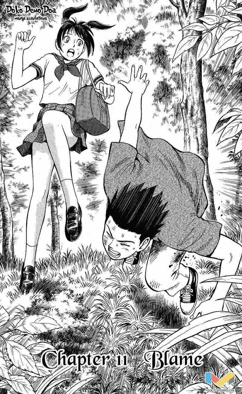 animal sense chapter 11 2