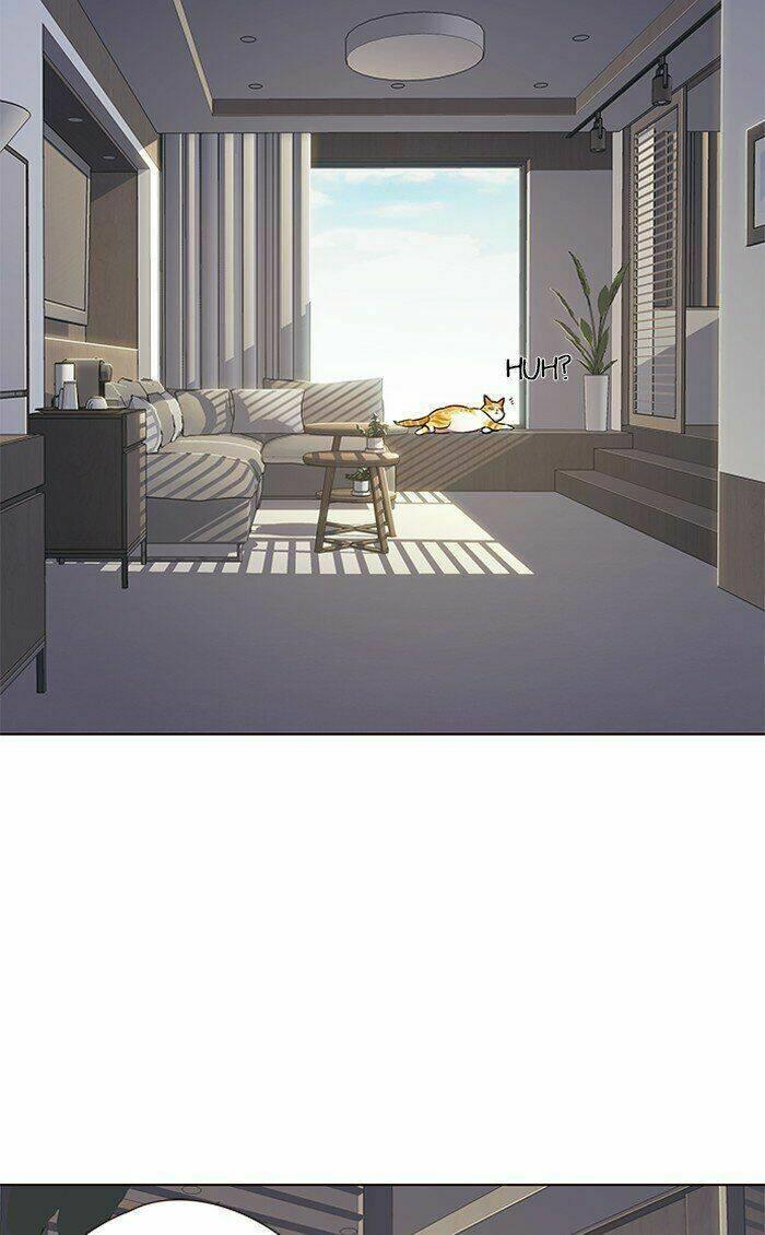 biến thân thành mèo chapter 70 4