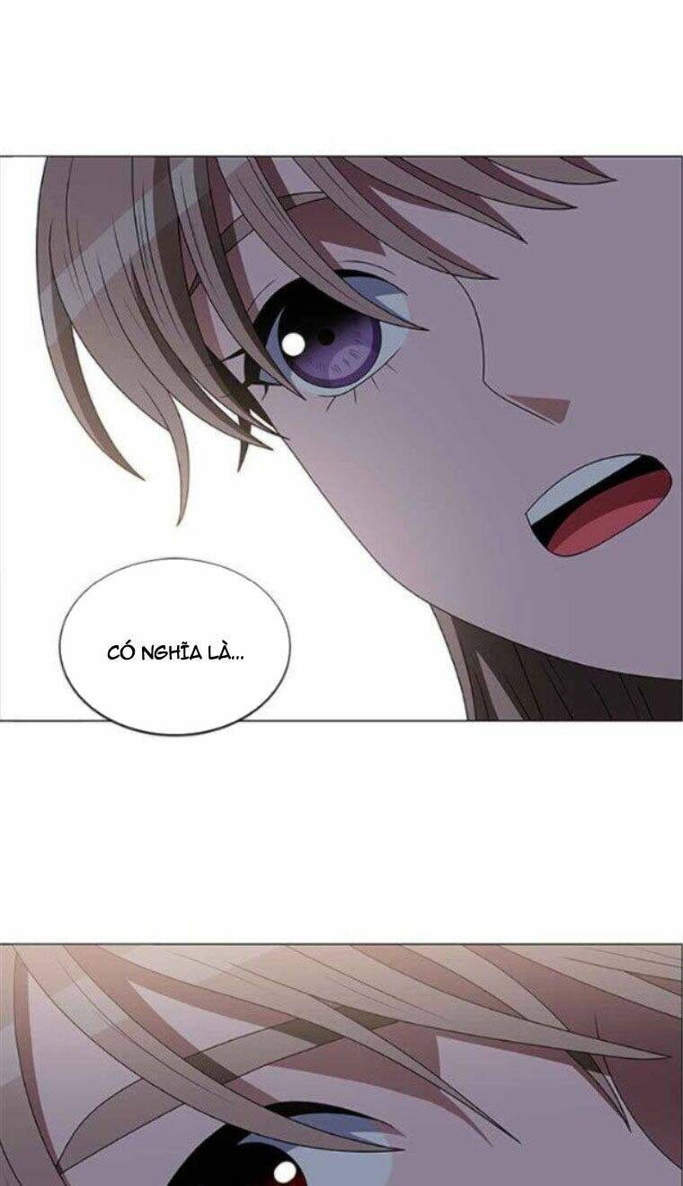 no scope chapter 117 42