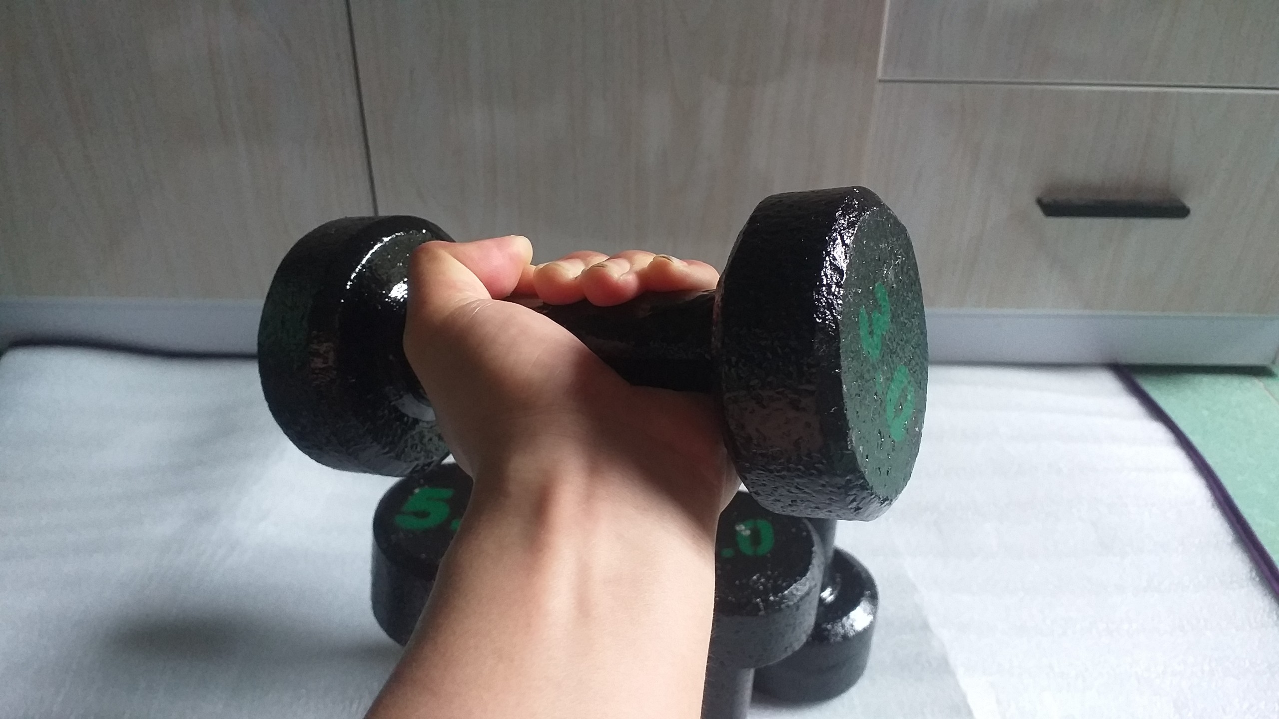 TẠ TAY TẬP GYM 3KG-14KG - HÌNH TRÒN