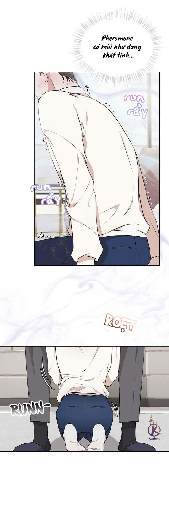 hình thái khởi sinh chapter 22 12