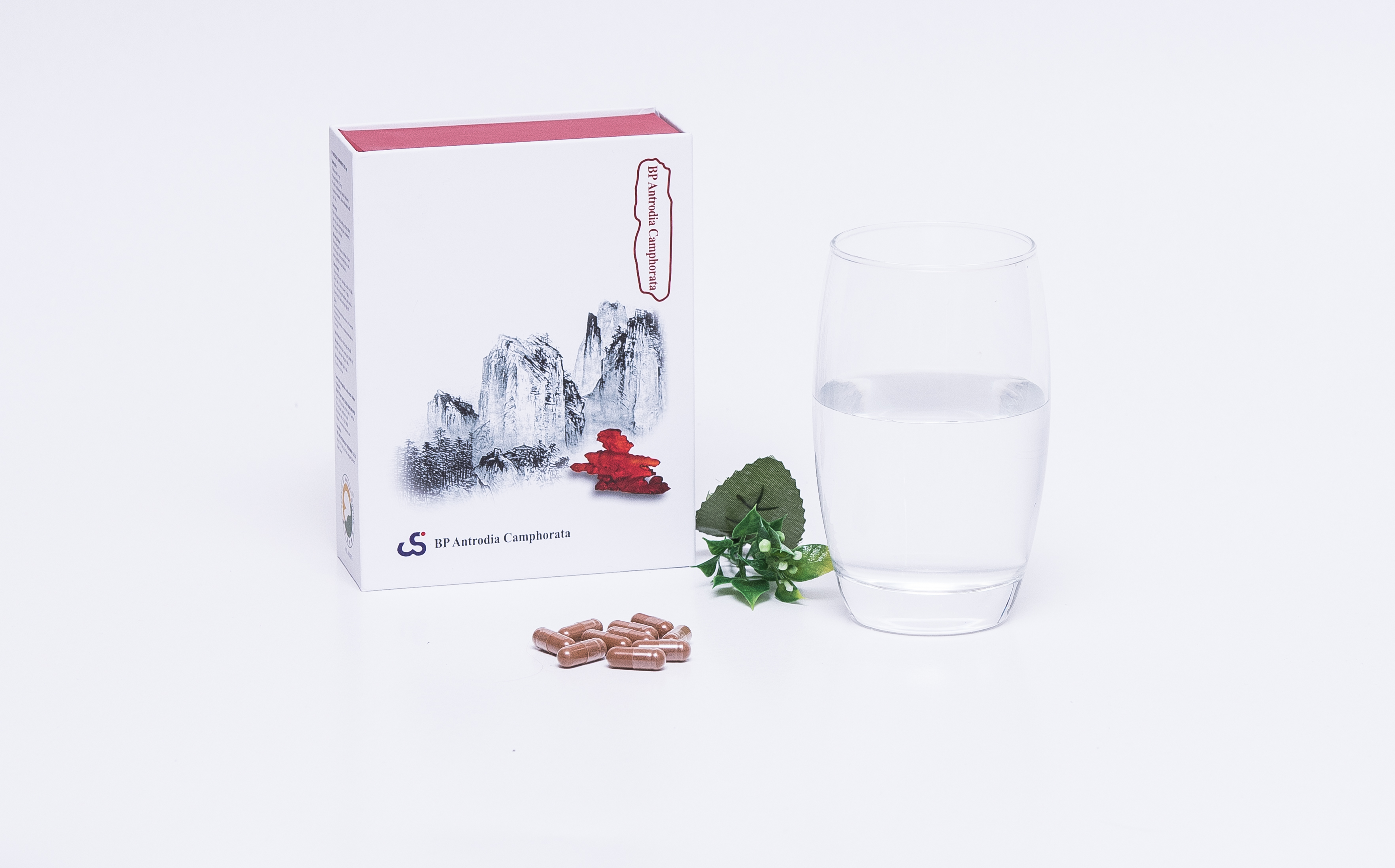 Viên Uống Nấm Chương Chi Đỏ BP ANTRODIA CAMPHORATA , Hỗ Trợ Bệnh Nhân Ung Thư, Rối Loạn Chức Năng Gan, Tăng Cường Miễn Dịch, Tăng Sức Đề Kháng