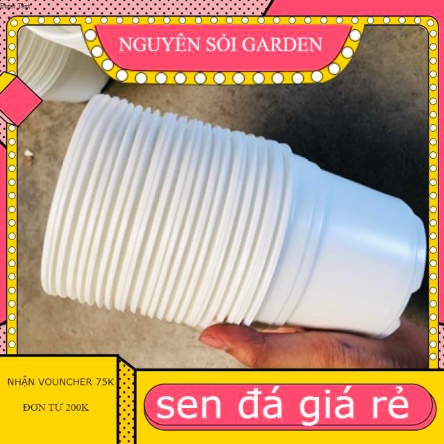 10 Chậu nhựa 10cm