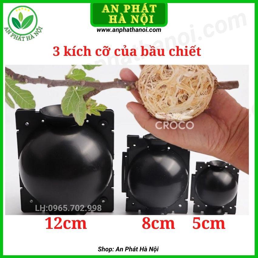 1 hộp Bầu Chiết cành loại đẹp, hộp chiết cây,dụng cụ chiết cành chuyên dụng, hộp ươm cắt ghép chiết cành