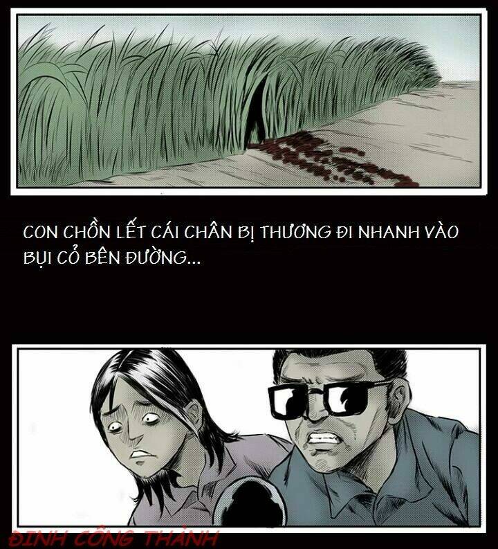 thầy súng kể chuyện ma chapter 8 10