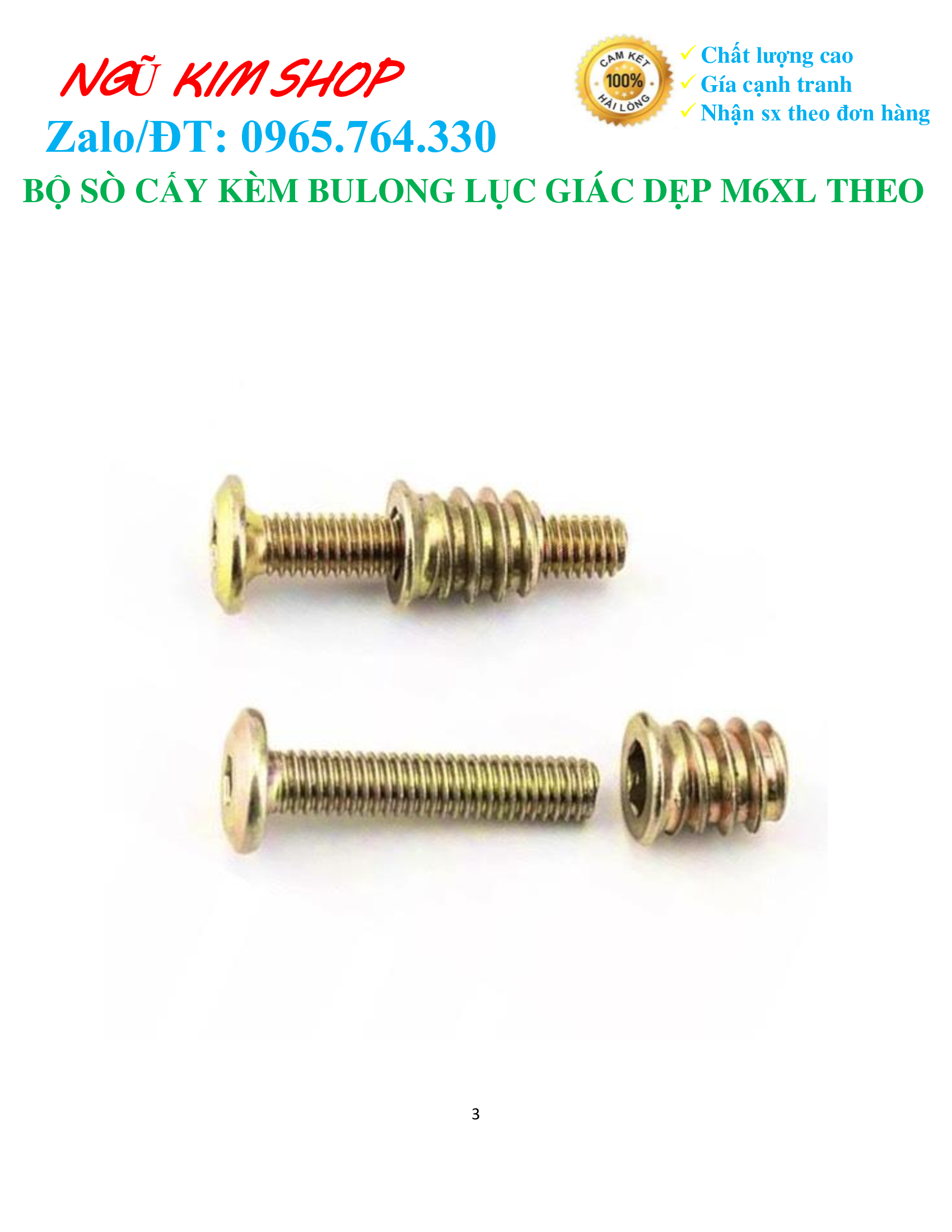 BỘ SÒ CẤY KÈM BULONG LỤC GIÁC DẸP M6 x L