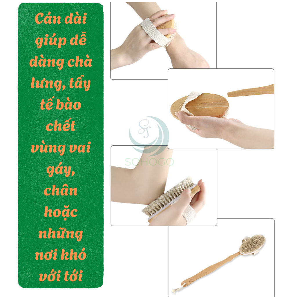 Bàn chải tắm cán dài bằng gỗ tự nhiên - Bàn chải massage cơ thể cao cấp - Cọ tắm khô &amp; ướt cán dài tiện lợi - Bàn chải chà lưng chống tế bào chết - Bàn chải tắm toàn thân spa tại nhà