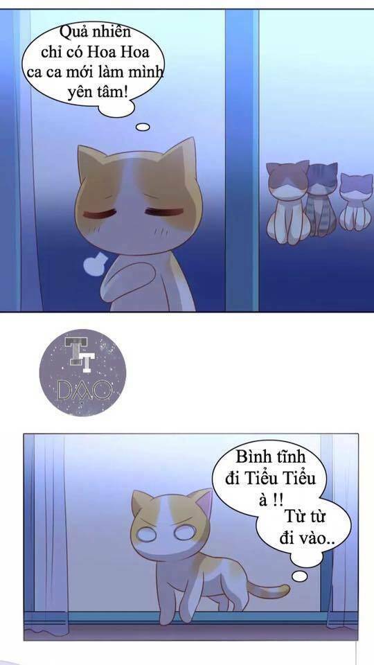 thị hoang chi thần chapter 13 12