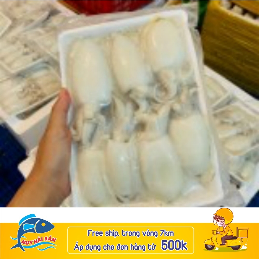 Mực bầu baby 14-20 - Khay 500g