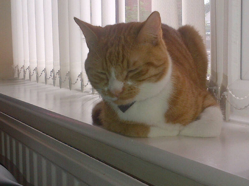 märchen: the embodiment of tales chapter 91 3