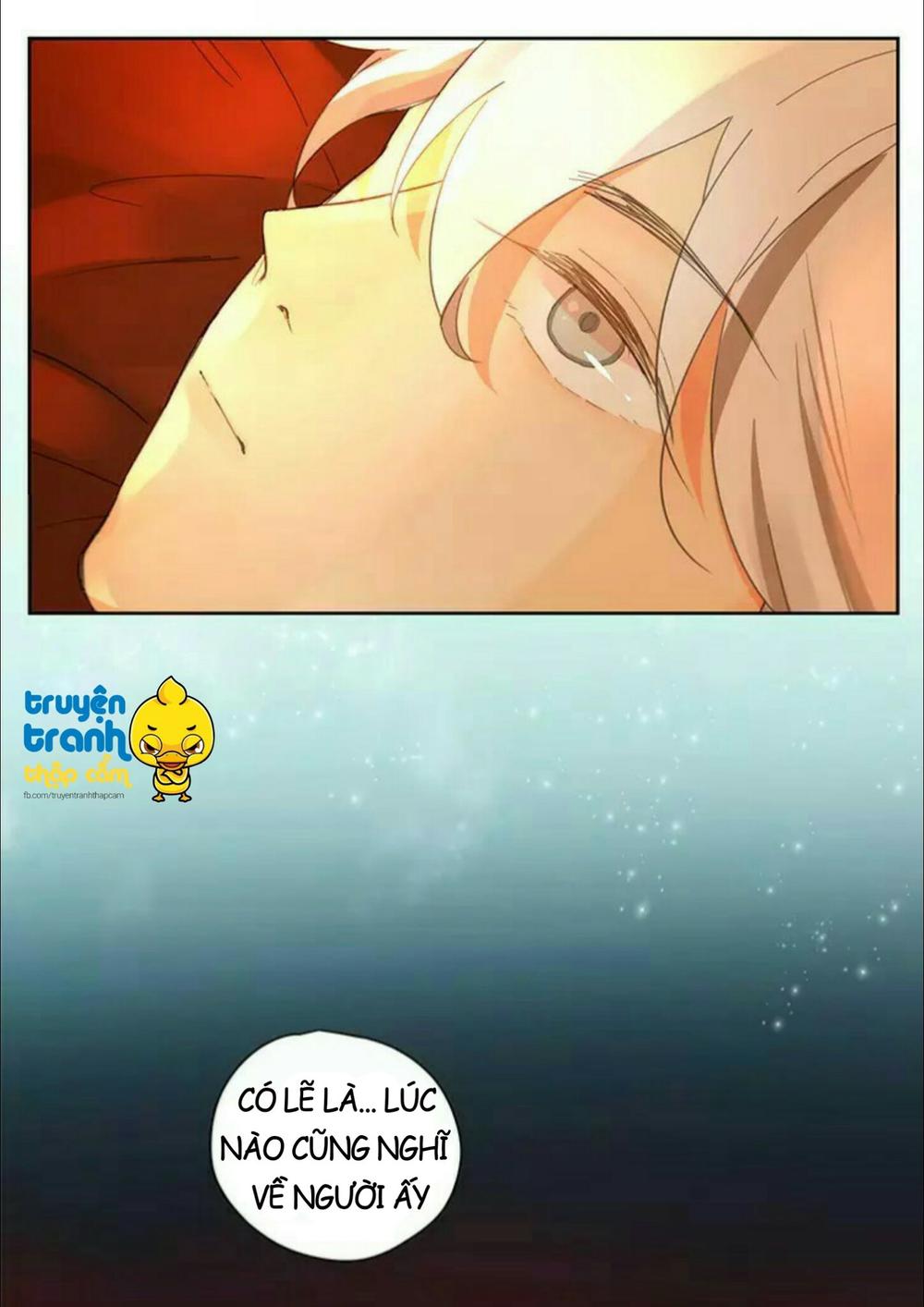 cứu mạng ! loài mèo thống trị thế giới rồi ! chapter 39 12