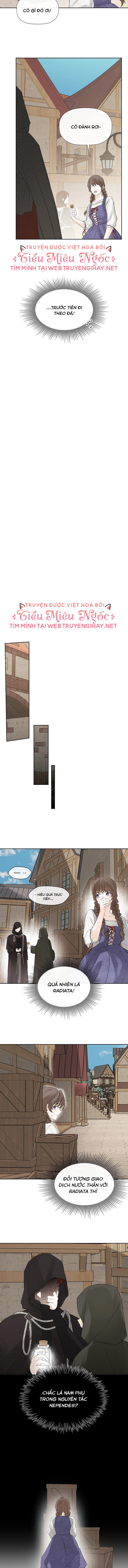 tôi biết bí mật của nam phụ chapter 5 11