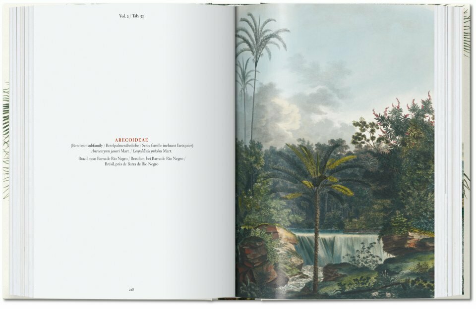 Martius. The Book of Palms. 40th Ed