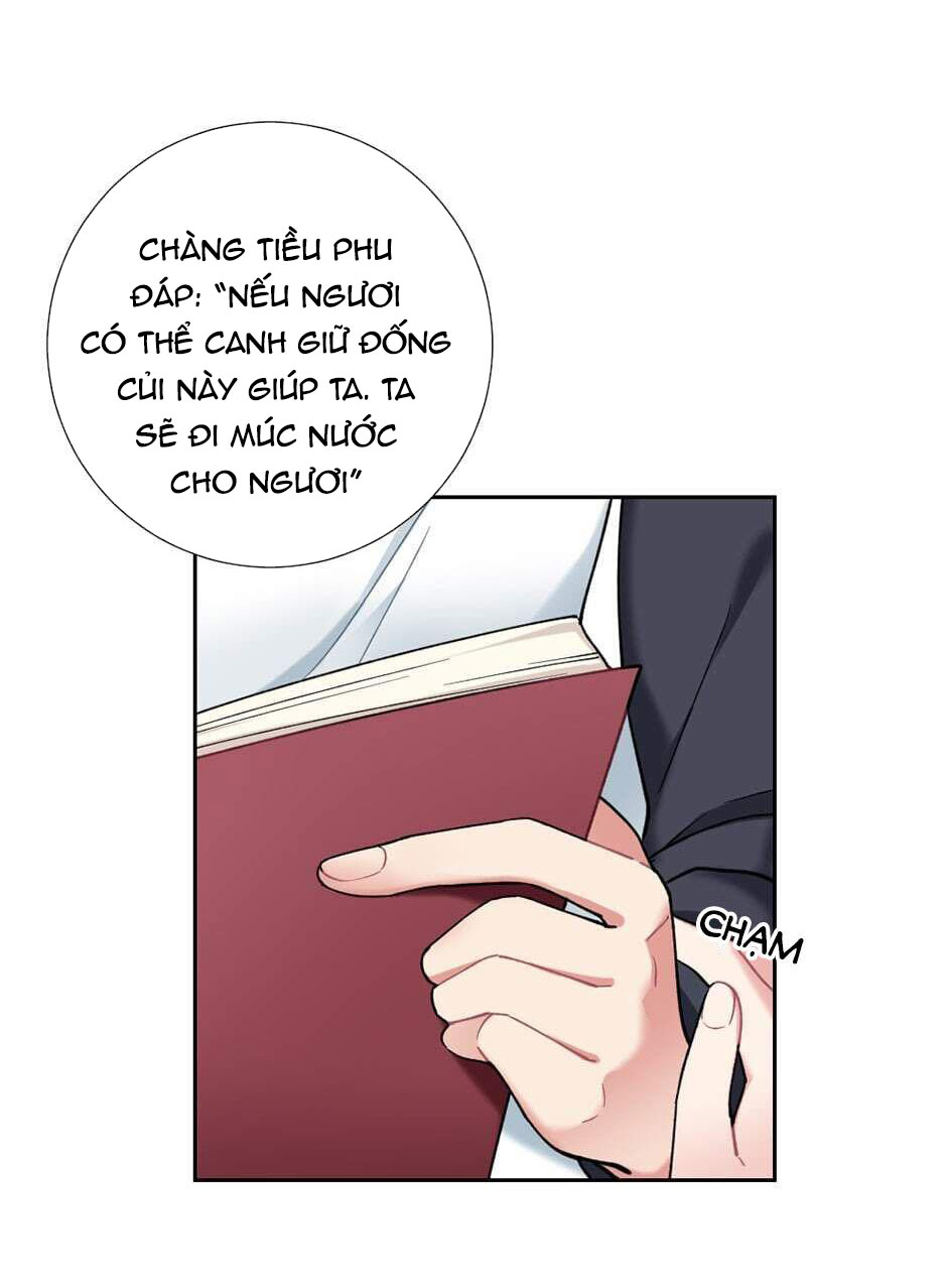 cô chủ và người hầu chapter 23 61