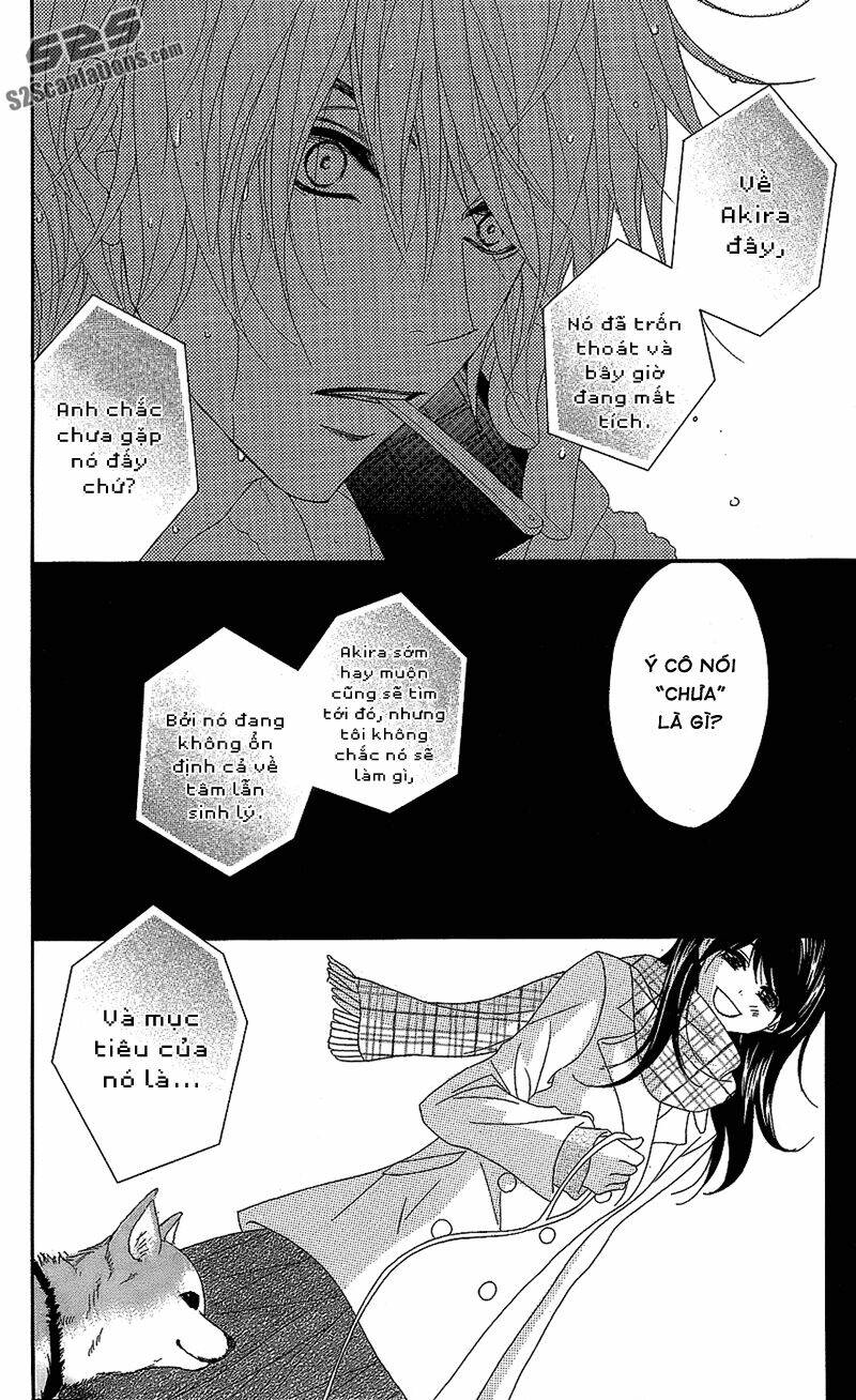 điện kích daisy chapter 60 41