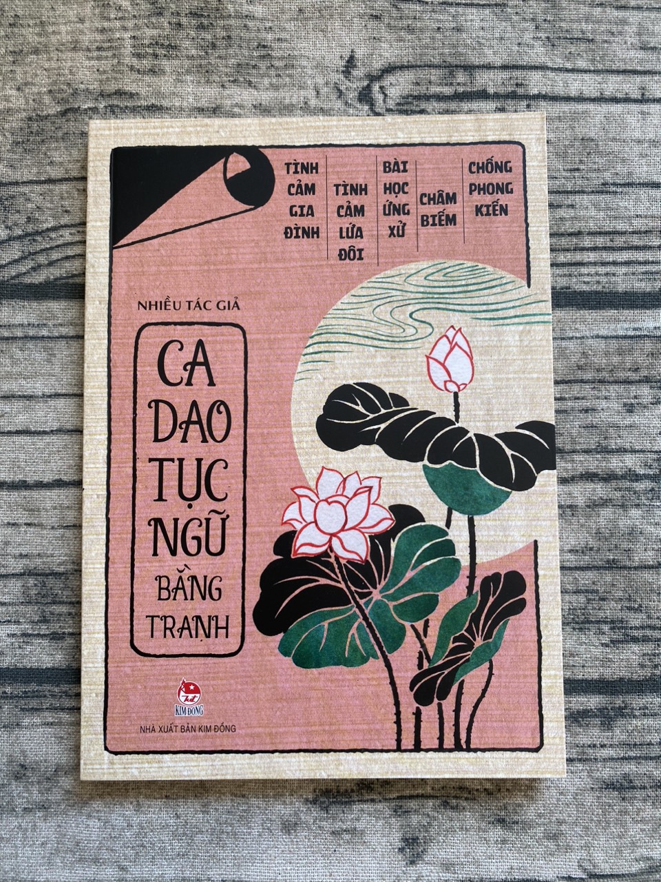 Ca Dao, Tục Ngữ Bằng Tranh (Tái Bản)