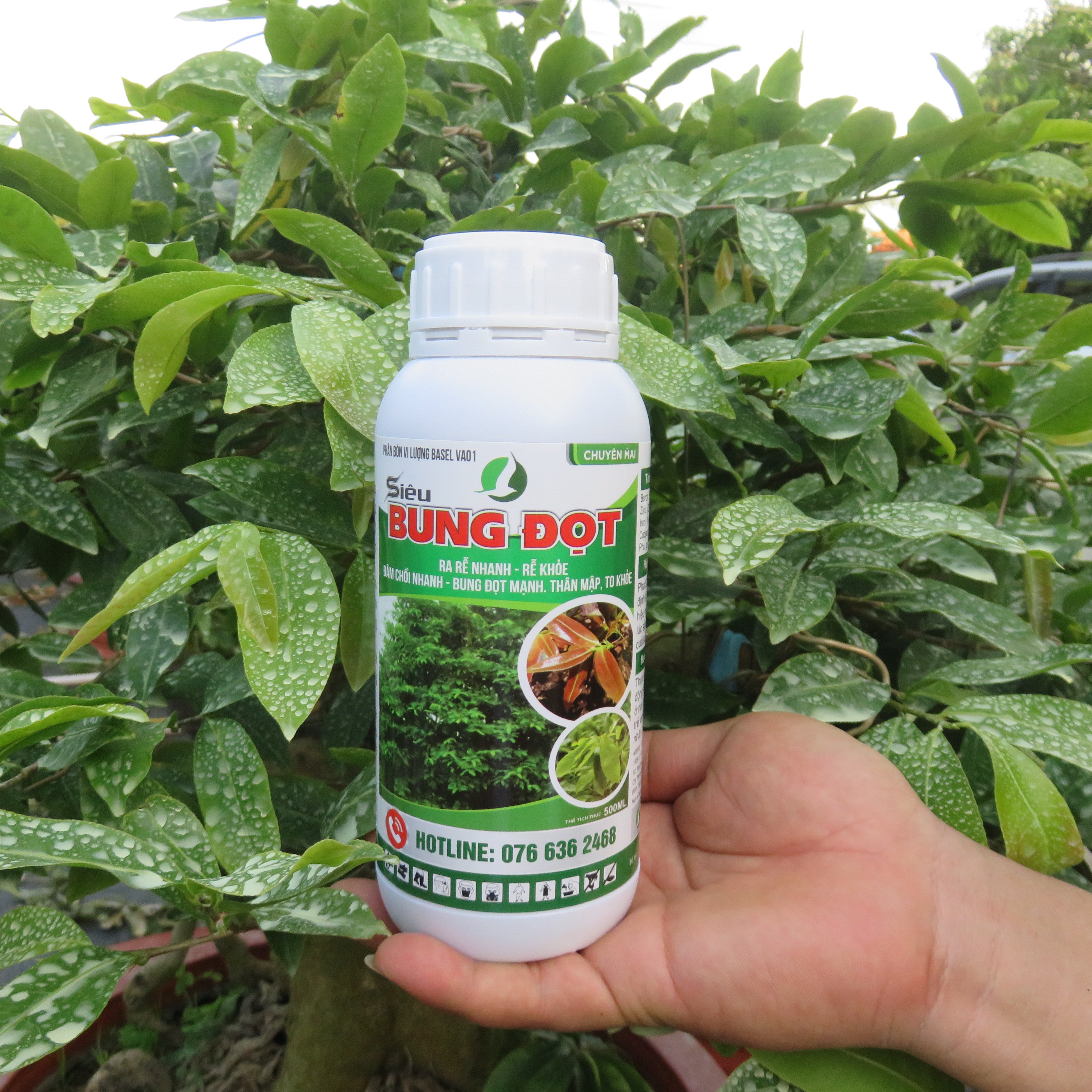 SIÊU BUNG ĐỌT - chuyên mai chai 500ml và 1L